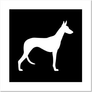 Ibizan Hound Silhouette Posters and Art